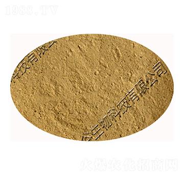 �����ѿ�ߗU��-�������