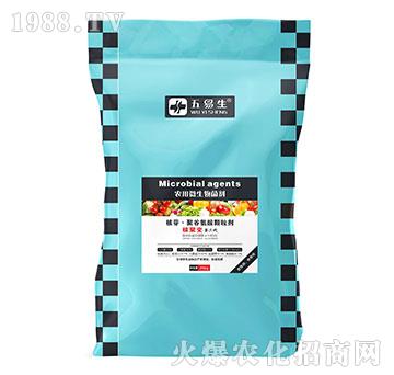 �r��΢�������-���ա��۹Ȱ����w��-������