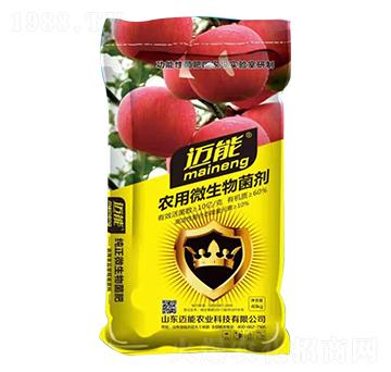 �O�������r��΢�������-�~���r�I(y��)