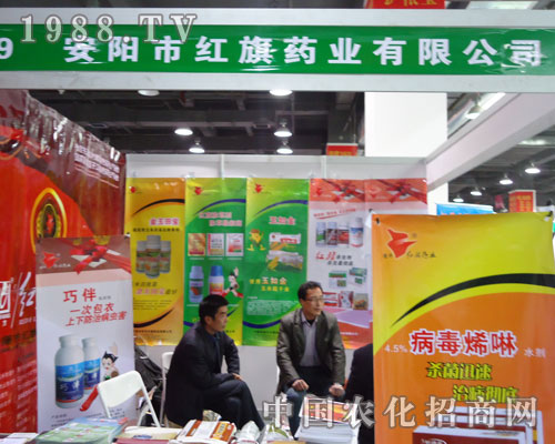 ��ꖼt��ˎ�I(y��)�ںӱ�ʡֲ��������������