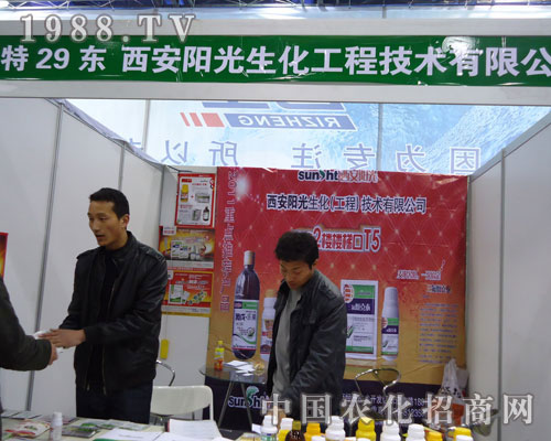 ���ꖹ������ںӱ�ʡֲ��������������