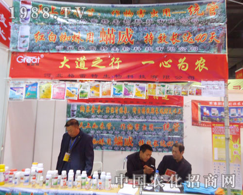 �����������ںӱ�ʡֲ��������������