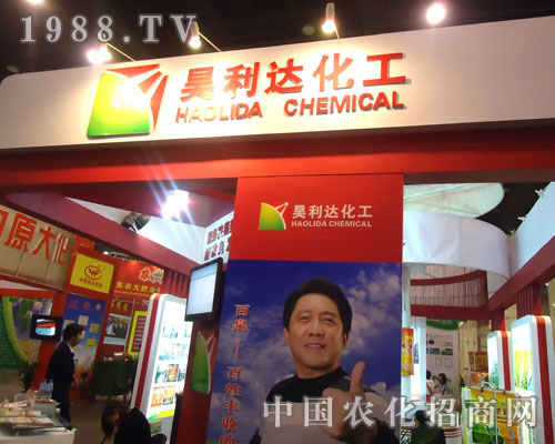 ����_(d��)���������ݷ��ϕ�����