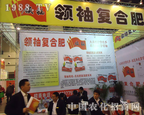 �ͺϷ�����ԭ�����p��������