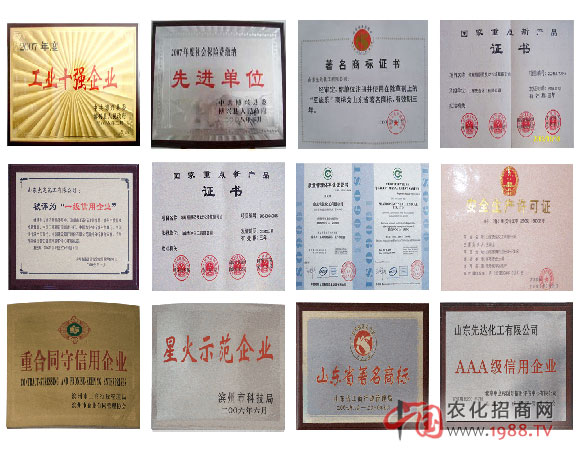 山東先達化工有限公司