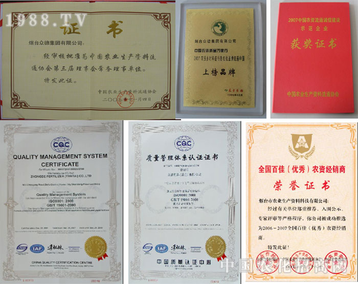 煙臺眾德集團有限公司