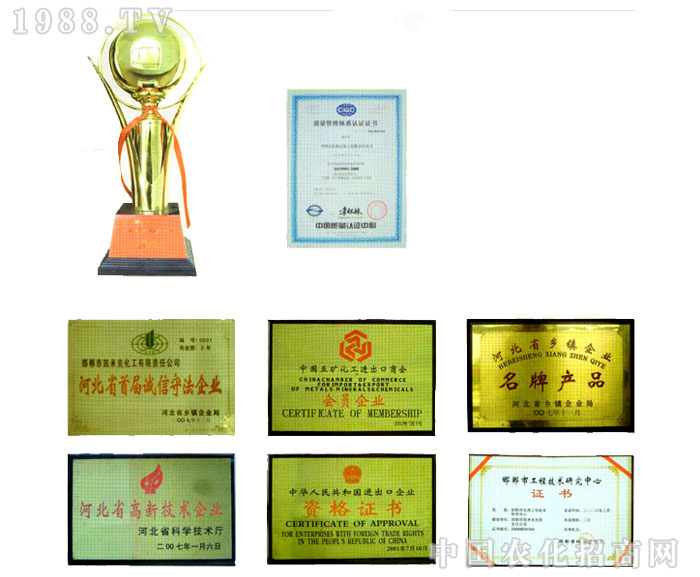 �ӱ��ꖻ������޹�˾