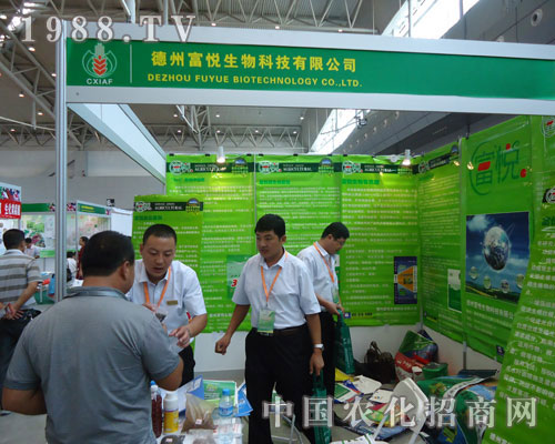 ���ݸ������չ�½��r����