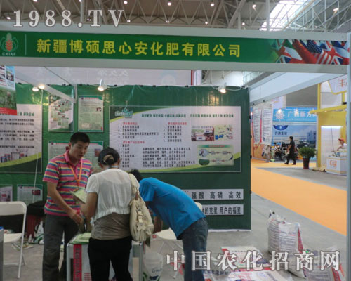 �½����T˼�İ����������\�Q��Ч��