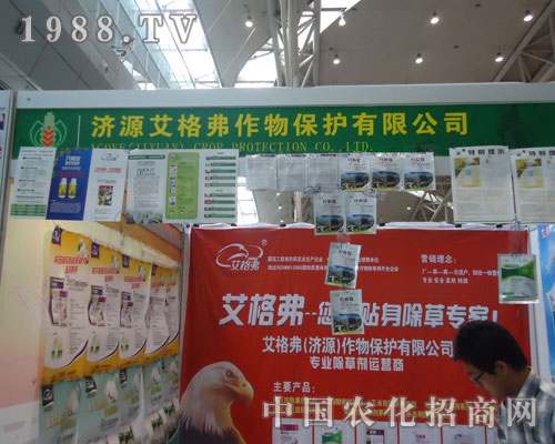 ���񸥡������N�����݌�����