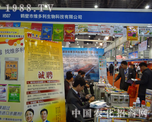 �Q�ھS�������｛�N�̽j�[���^ ����ϲ��