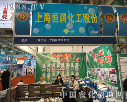 �B�Tֲ�����к㝙�����A���ǈ�