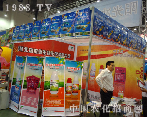 2011��B�Tֲ�������������A���ǈ�