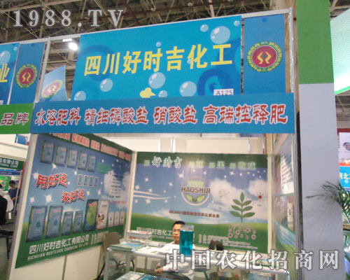 �Õr�������x�������v���B�T�r�Y��