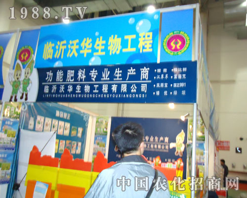 �B�T�r�Y���R�����A������s����