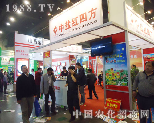 ���}�t�ķ�ҫ������15��ȫ�����Ͻ��ו�