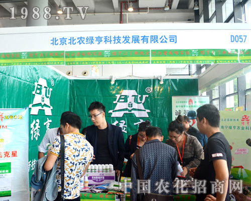 2015�ό��r�Y��ӭ�����r�G���A�����