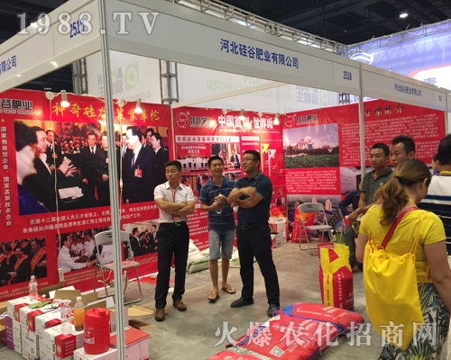 �ӱ���ȷʘI(y��)2017�ό��r(n��ng)�Y���c������(chu��ng)�x����