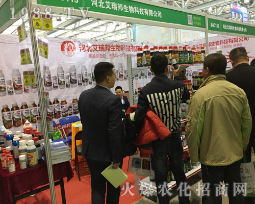 �ӱ�����������2017�ϲ�ֲ���p������������