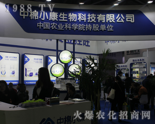 ����С����2017�ϲ�ֲ���p�����Ͼo�ӵؚ�