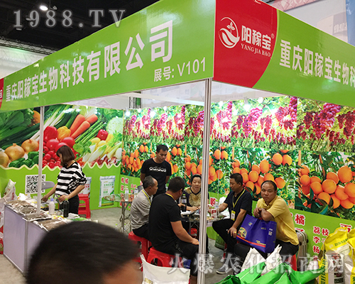 2018�V���ό��r(n��ng)�Y��(hu��)���ؑcꖼڌ����(qi��ng)�ݳ���