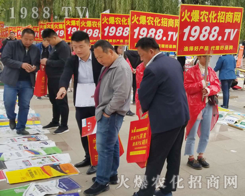     2018ɽ�|��(j��)��ֲ�����ו�(hu��)�����r(n��ng)���W(w��ng)����ֱǰ��