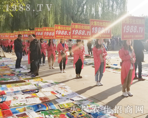     ��24��ɽ�|ֲ���������cͻ�@��1988.TV�ɽ��c��