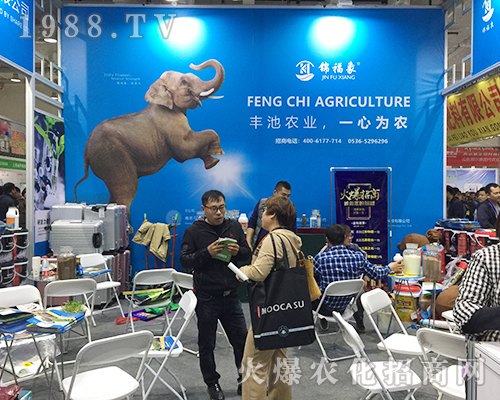 ��24��ɽ�|ֲ����(hu��)���\����һչ�L(f��ng)��