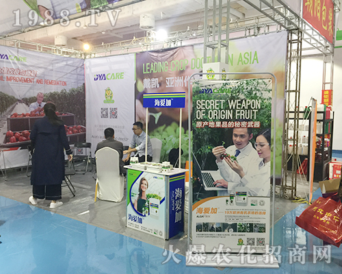 ���ۼ���2018����ֲ�������ի@���u