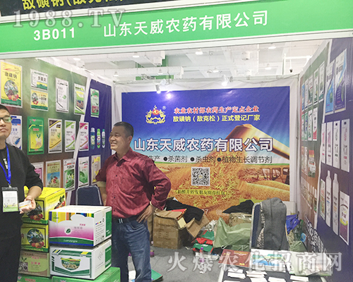 2018��24��ɽ�|��(j��)��ֲ�����ו���ɽ�|�����r(n��ng)ˎ�����ƏV