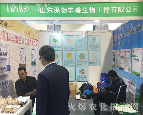 ɽ�|�����Sʢ��24��ɽ�|��(j��)��ֲ����(hu��)�𱬵ǈ�(ch��ng)