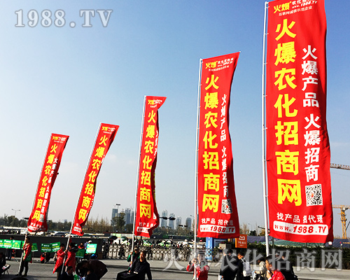 ����ʮ�Č�ȫ��ֲ���������r�����̾W�L��ȫ����