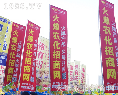 2018���������rˎ����1988.TV����***��