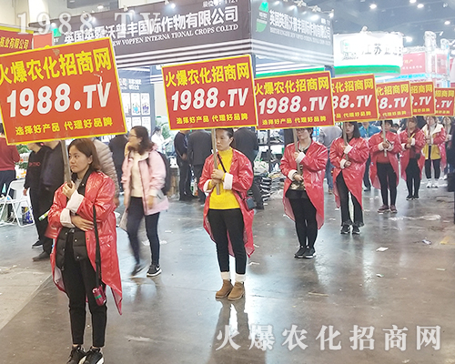     2018�����r(n��ng)ˎ��(hu��)�����r(n��ng)���W(w��ng)׌�fǧ�S�̳ɹ��_��(chu��ng)δ��