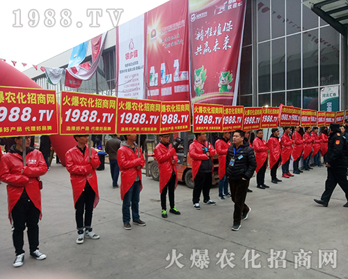 Ҫ�������ң�1988.TV�ذ�����2018�ӱ�ֲ������