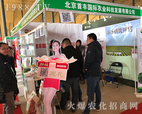 �������S��2018�ӱ�ʯ���fֲ�������ʲ���