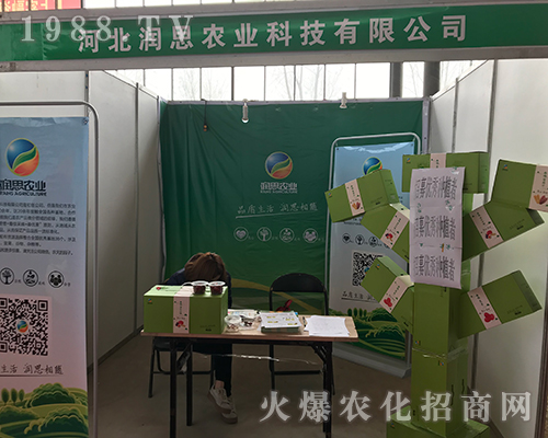 �ӱ���˼��(qi��ng)�ݳ���2018�ӱ�ʯ���fֲ����(hu��)