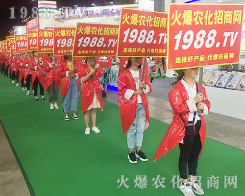 2018�����r(n��ng)�Y����1988.TV�����������ݲ��ɓ�