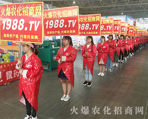 2018�����r(n��ng)�Y����1988.TV�ٴγɞ�ȫ�����c(di��n)��