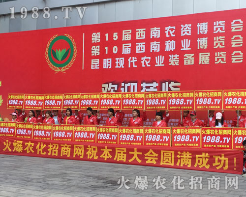 �o̎�����r(n��ng)���W(w��ng)���M�۱M�ǻ𱬼t��