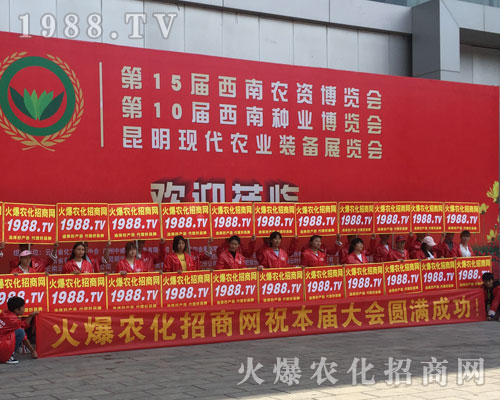 �o̎�����r(n��ng)���W(w��ng)���M�۱M�ǻ𱬼t��