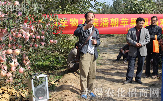 �ӱ����_(t��i)���(y��ng)���﹤�����޹�˾