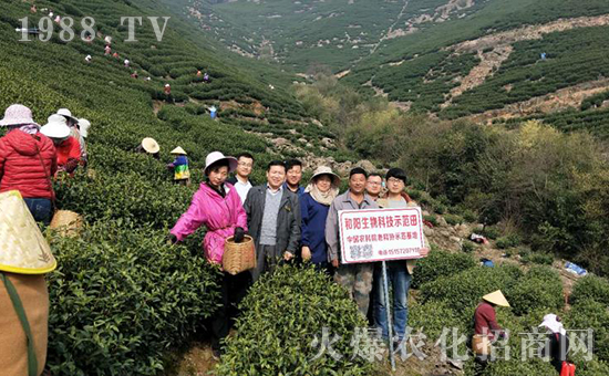 �ӱ����_(t��i)���(y��ng)���﹤�����޹�˾