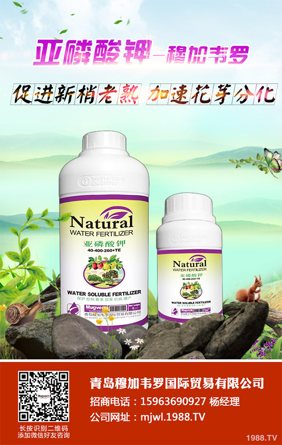 ���{ܛ��������Щ�Y����F������ΰl(f��)���������{ܛ�����A����ʩ