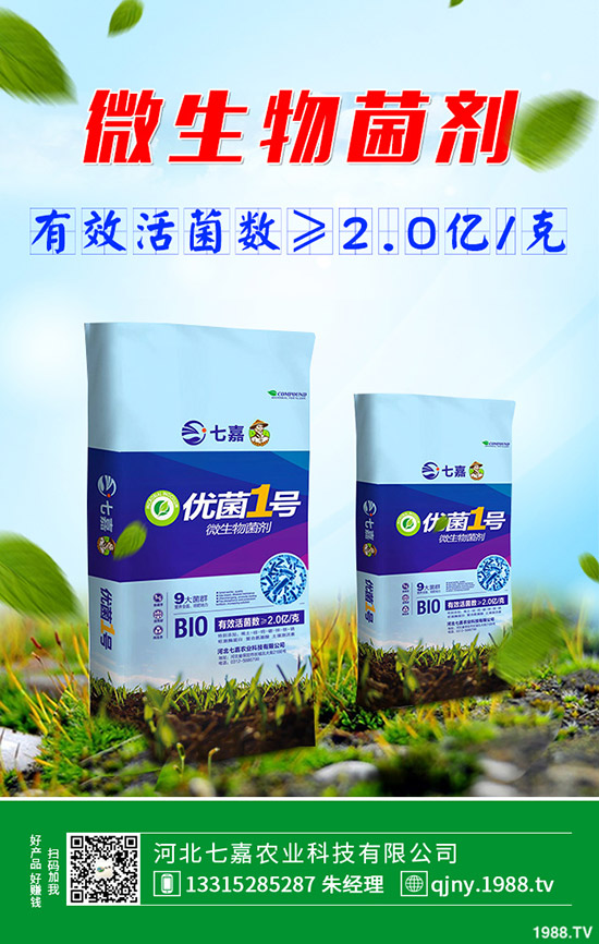 荷蘭豆什么時候種植好,荷蘭豆種植技術(shù)!