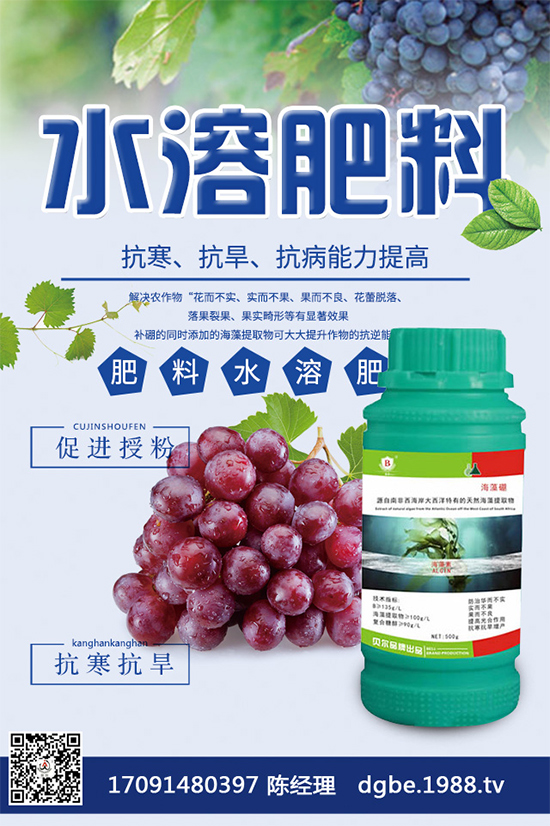 ���{(l��n)�ڰ߲�Σ���@ô��������ԓ��η��Σ������������