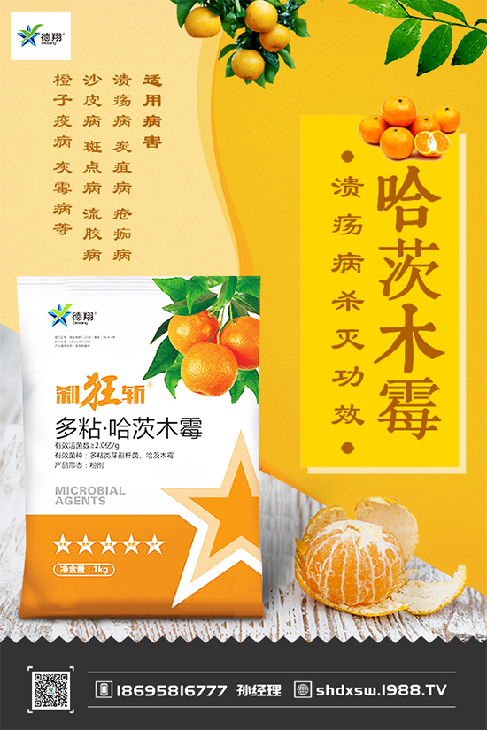 ���{(l��n)�ڰ߲�Σ���@ô��������ԓ��η����������������