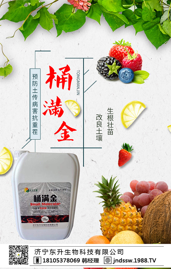 2019��10��12�յ����������@�Ј����鼰�����A�y