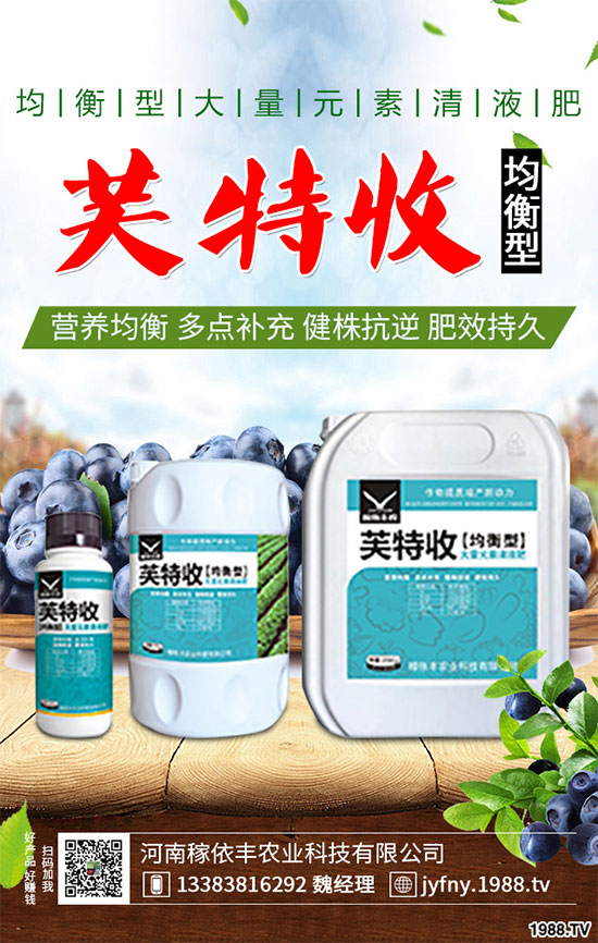 陽臺(tái)上能種植上海青嗎？該注意什么？陽臺(tái)上種植上海青的注意事項(xiàng)