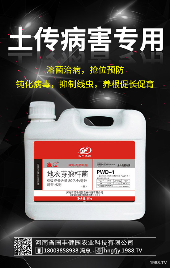 小麥除草劑什么時候打好，小麥打除草劑的時間及注意事項！